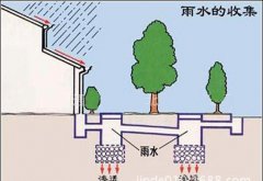 初期雨水收集為什么這么重要？